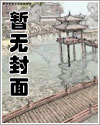 双星共照